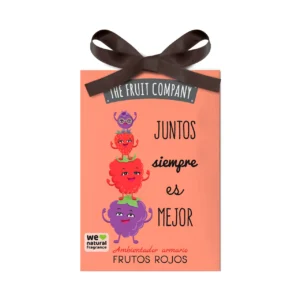 Ambientador Armario Frutos Rojos